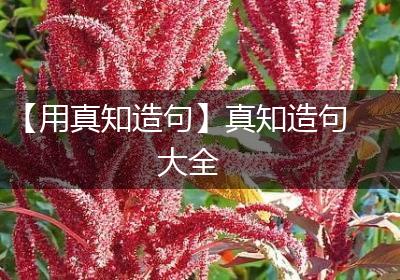 【用真知造句】真知造句大全