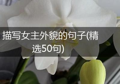 描写女主外貌的句子(精选50句)