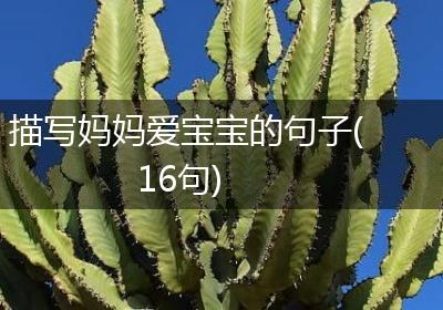 描写妈妈爱宝宝的句子(16句)