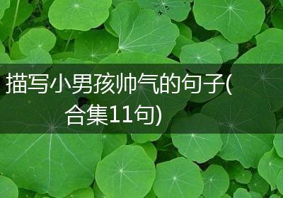 描写小男孩帅气的句子(合集11句)