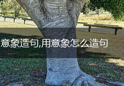 意象造句,用意象怎么造句