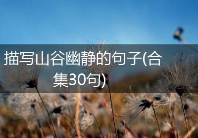 描写山谷幽静的句子(合集30句)