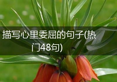 描写心里委屈的句子(热门48句)