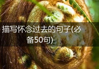 描写怀念过去的句子(必备50句)