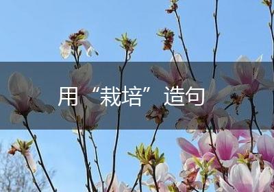 用“栽培”造句