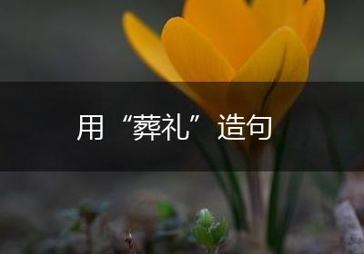 用“葬礼”造句