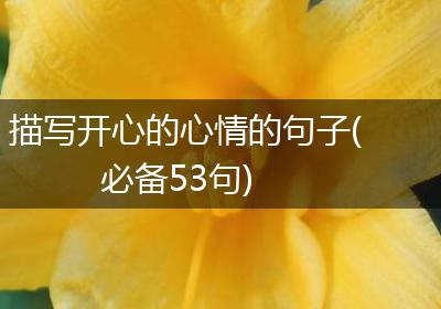 描写开心的心情的句子(必备53句)