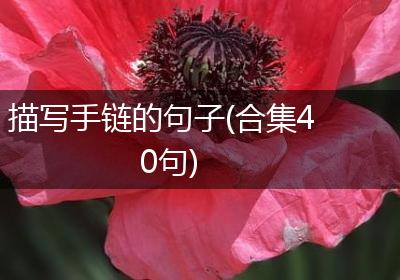 描写手链的句子(合集40句)