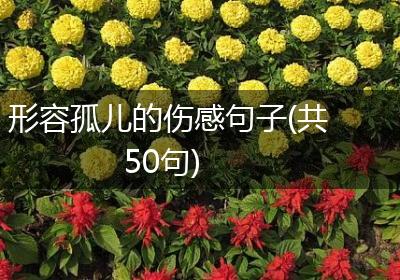 形容孤儿的伤感句子(共50句)