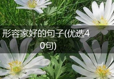 形容家好的句子(优选40句)