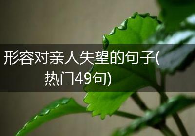 形容对亲人失望的句子(热门49句)