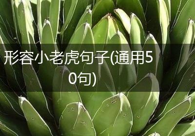 形容小老虎句子(通用50句)