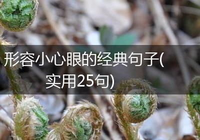 形容小心眼的经典句子(实用25句)