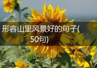 形容山里风景好的句子(50句)