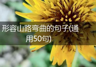 形容山路弯曲的句子(通用50句)