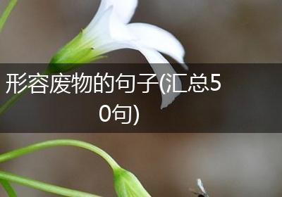 形容废物的句子(汇总50句)
