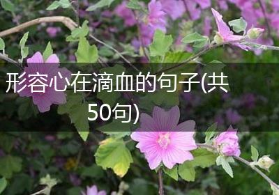 形容心在滴血的句子(共50句)