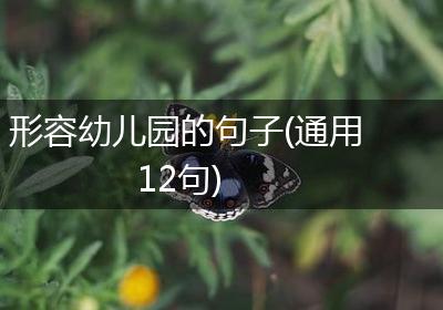 形容幼儿园的句子(通用12句)