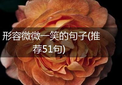 形容微微一笑的句子(推荐51句)