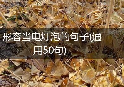 形容当电灯泡的句子(通用50句)