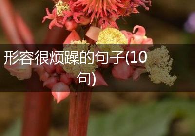 形容很烦躁的句子(10句)