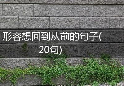 形容想回到从前的句子(20句)