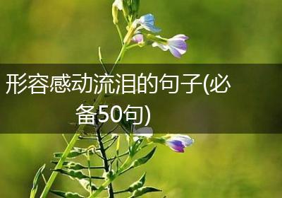 形容感动流泪的句子(必备50句)