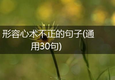 形容心术不正的句子(通用30句)