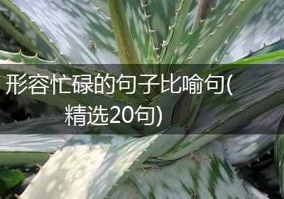 形容忙碌的句子比喻句(精选20句)
