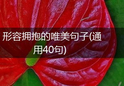 形容拥抱的唯美句子(通用40句)