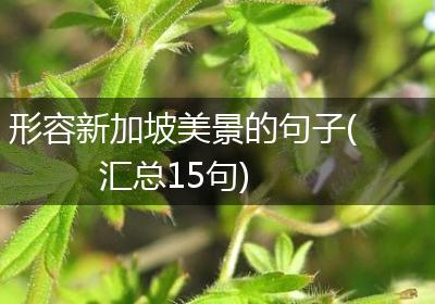 形容新加坡美景的句子(汇总15句)