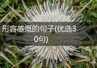 形容感慨的句子(优选30句)