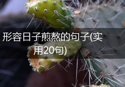 形容日子煎熬的句子(实用20句)