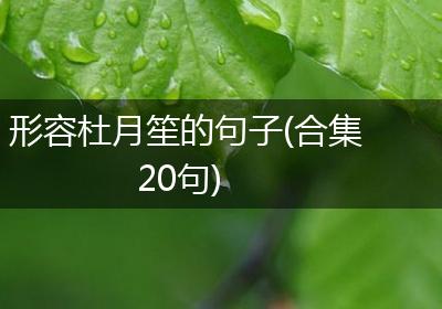 形容杜月笙的句子(合集20句)