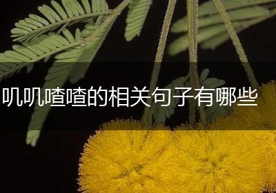 叽叽喳喳的相关句子有哪些