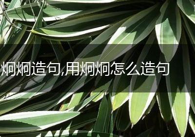 炯炯造句,用炯炯怎么造句