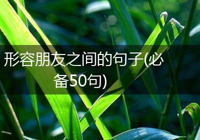 形容朋友之间的句子(必备50句)