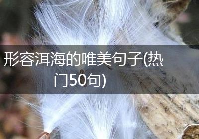 形容洱海的唯美句子(热门50句)