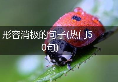 形容消极的句子(热门50句)