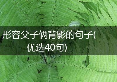 形容父子俩背影的句子(优选40句)