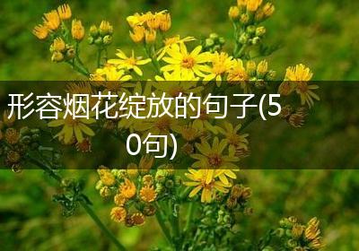 形容烟花绽放的句子(50句)