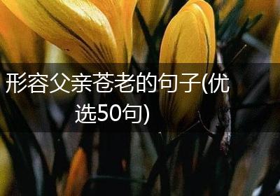形容父亲苍老的句子(优选50句)