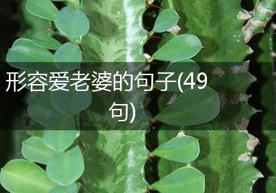 形容爱老婆的句子(49句)