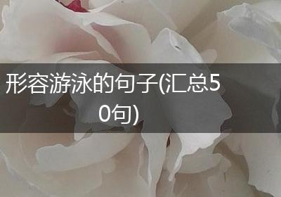 形容游泳的句子(汇总50句)