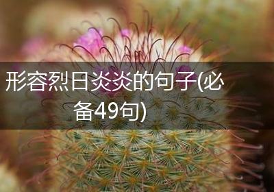 形容烈日炎炎的句子(必备49句)