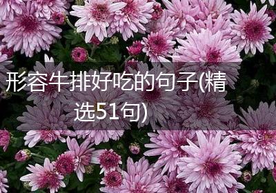 形容牛排好吃的句子(精选51句)
