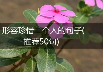 形容珍惜一个人的句子(推荐50句)