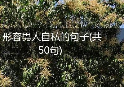 形容男人自私的句子(共50句)