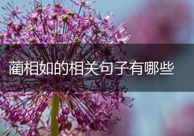 蔺相如的相关句子有哪些