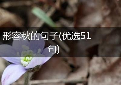 形容秋的句子(优选51句)